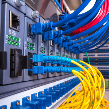 design sans titre (54)