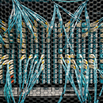 design sans titre (59)